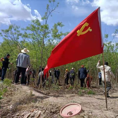 “绿水青山就是金山银山”这一科学论断，成为树立生态文明观、引领中国走向绿色发展之路的理论之基。