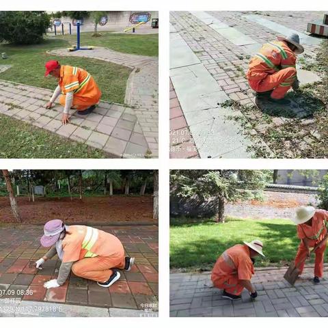 提升环卫保洁成效  助推文明城市创建