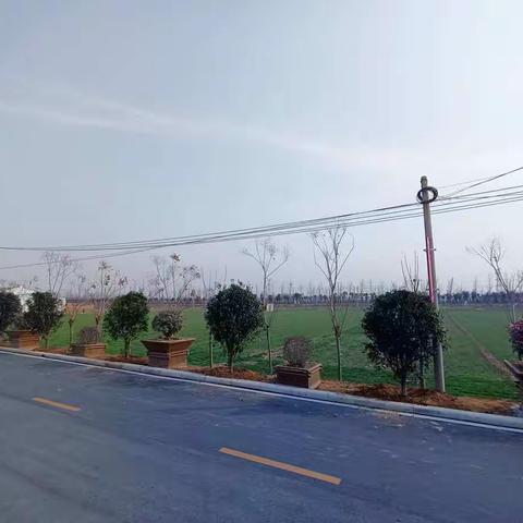 春季绿化忙 不负好时光——翟镇镇各村积极开展春季绿化行动