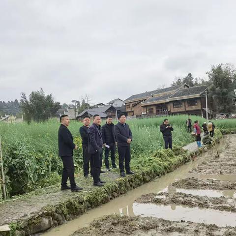 任胜副县长率队到新建、永安调研乡村振兴暨春耕生产