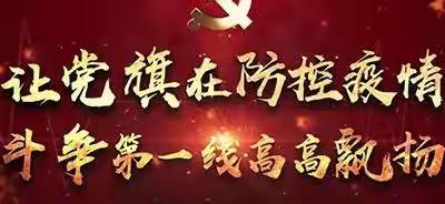 党旗飘扬  党徽闪耀——工业园区广大党员干部奋战在抗疫一线