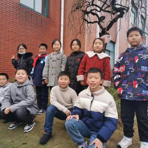 小树苗分队  兰花小学   四(2)班