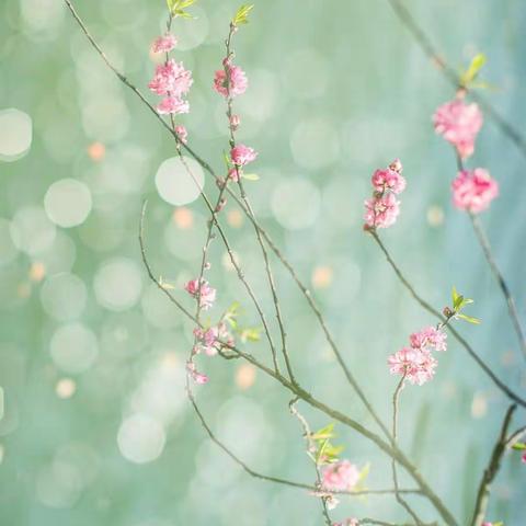 任正晓：在四个方面狠下功夫 争做河南纪检监察出彩人