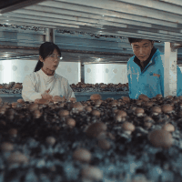 舞阳县审计局组织开展《千顷澄碧的时代》集中观影活动