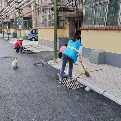 纱厂办开展“周五清洁日”清洁行动