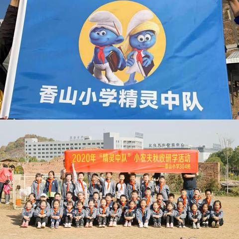 【探古韵，解农事，寻自我—香山小学304精灵中队秋收研学活动】