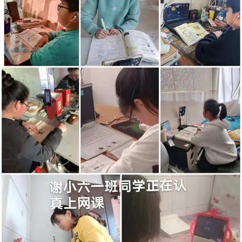 2022－2023学年度第一学期网课集锦