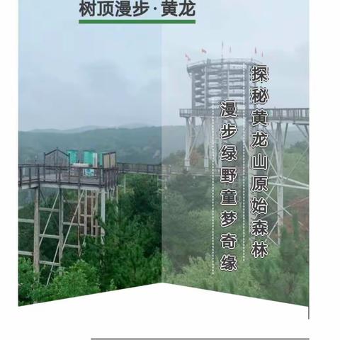 揭秘黄龙山原始森林----树顶漫步2023仲夏【童真之旅】夏令营隆重上线！