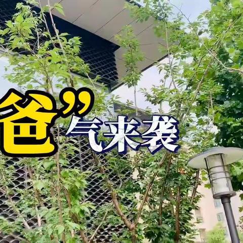 泰康之家楚园父亲节