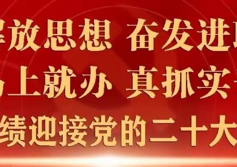 岳城镇开展10月份主题党日活动