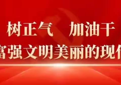 岳城镇开展12月份主题党日活动