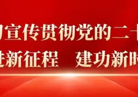 岳城镇开展11月份主题党日活动