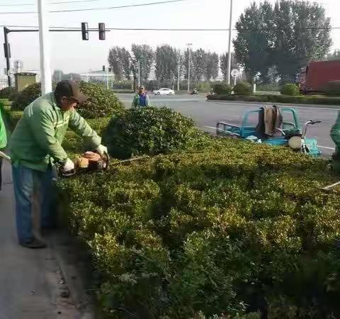 示范区城管局|部门动态