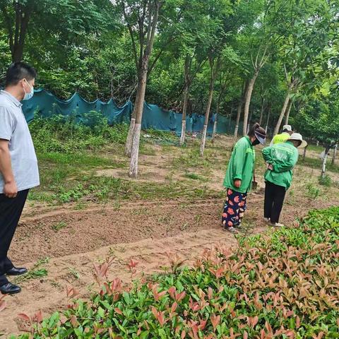 示范区城管局|部门动态