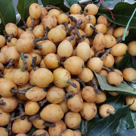 回味那匆匆的童年