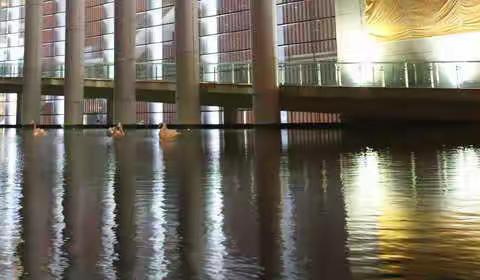 常博2019年度总结表彰大会花絮