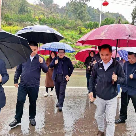 全国百强县建设中央检查组莅临龙驹坝大桥视察指导工作