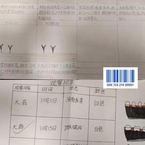 细致观察  下笔成章---石家庄市联盟路小学四年级语文习作教研活动