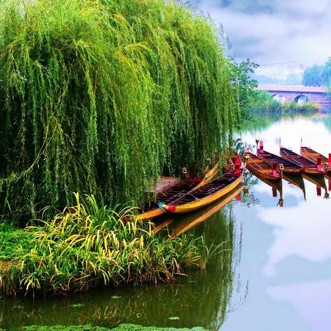 【最美初夏】木舟轻荡溱湖水