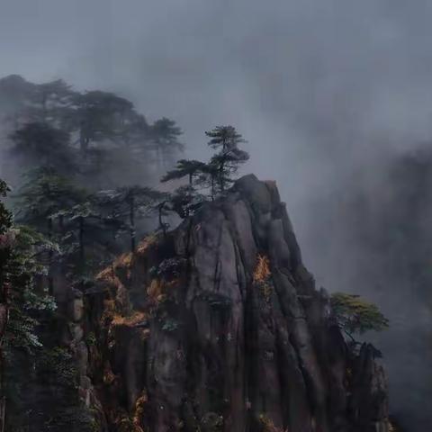 黄山五绝之云雾🌹🌹🌹