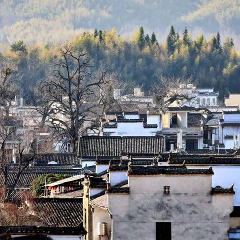 徽州古村落——宏村🌹🌹🌹