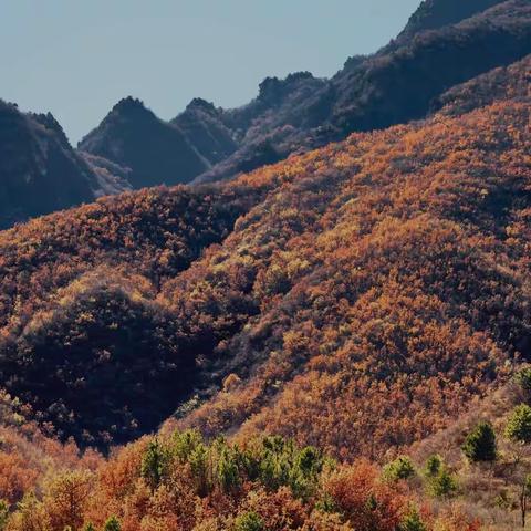 仓米古道秋色🌹🌹🌹