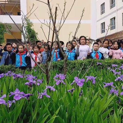 北赵小学二年级学生数学大比武