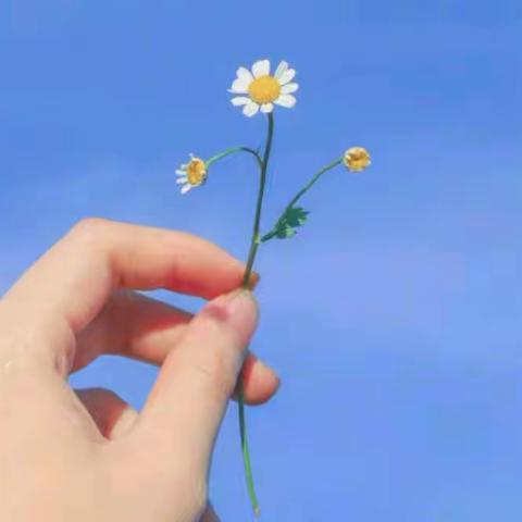 “广播体操赛风采，队列队形展英姿”北赵中学队列队形体操比赛