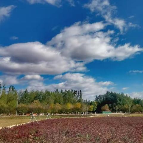 全城静默前的奥林匹克公园