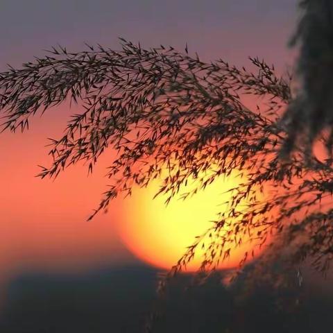 夕阳下的赛汗塔拉一隅