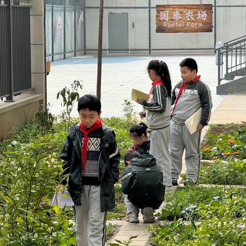 三上第六单元——写“美丽家乡”