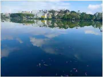 话惠州——总结篇