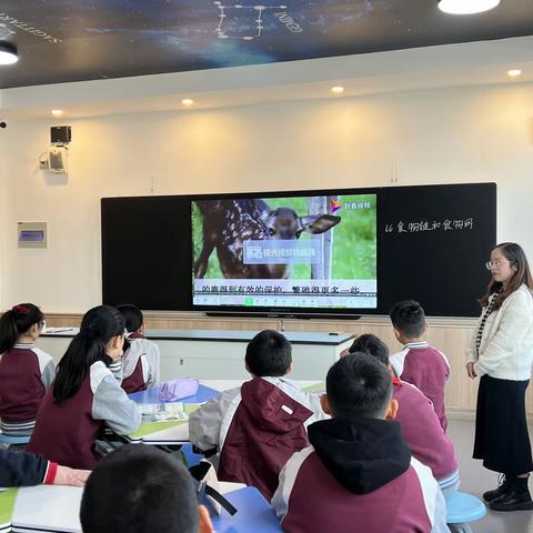 《食物链和食物网》——新华公学双语部小学综合组百课行动之科学公开课