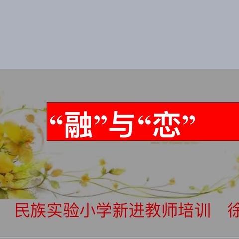 春风化雨润新苗——高唐县民族实验小学新进教师培训