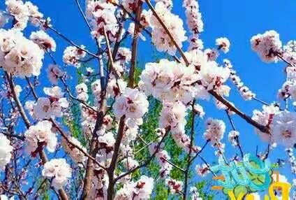 初心不改 方得始终——东城小学第十三周值周小结