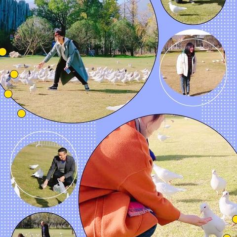 在行走的课堂里成长——记重兆小学龙之梦研学活动