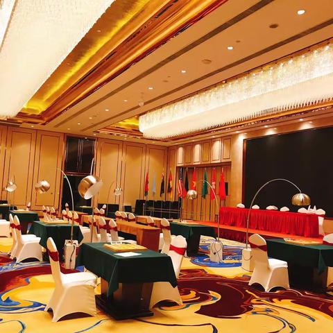 第十届“淮阴韩信杯”象棋国际名人赛第二轮