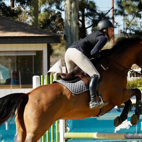 英姿飒爽！在美国圣地亚哥看马术比赛