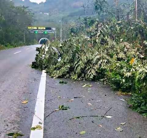 南贡山隧管站雨后加强道路巡查