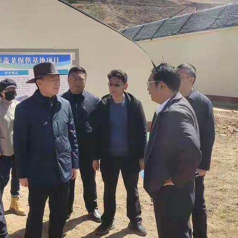 沈阳同志调研指导虾拉沱镇高原特色农业高质量发展