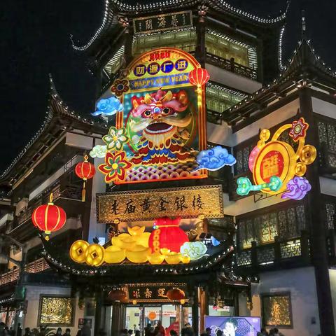 2020年豫园灯会 真如腊梅