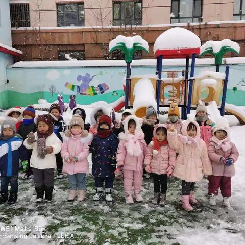 邂逅初雪，满园童乐——浑江区第三幼儿园小一班玩雪记（一）