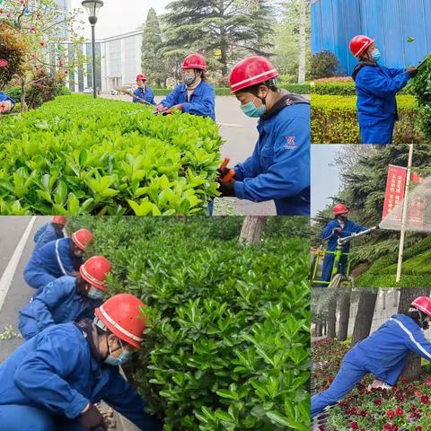 立足本职岗位，坚持实干担当，发挥党员先锋模范作用