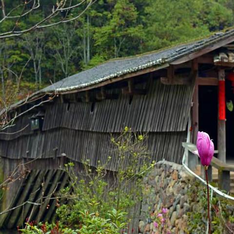 廊桥长，廊桥美 ——赞浙南闽东北山区古廊桥