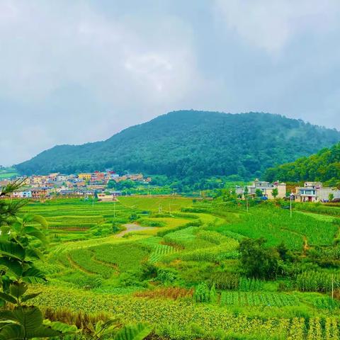 大头鱼同题诗——“一桶江湖”江川分舵开展采风暨诵读活动