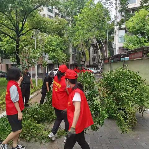 开展“护河爱水 清洁家园”专项行动
