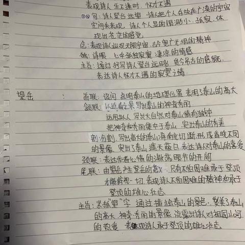 杨雨航的语文作业