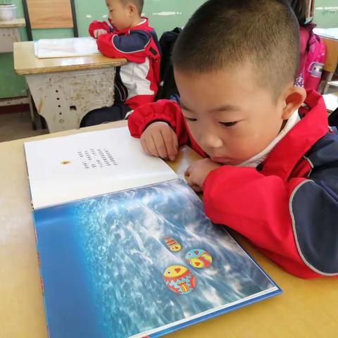 【一年2班】阅读，你最美