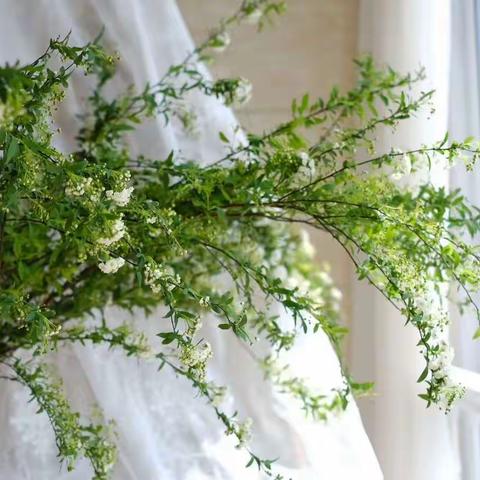 陌上花开，可缓缓归矣