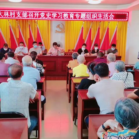 “学党史、悟思想、办实事、开新局”党史学习教育专题组织生活会